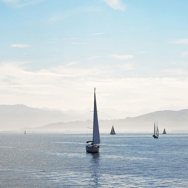 Header image 1